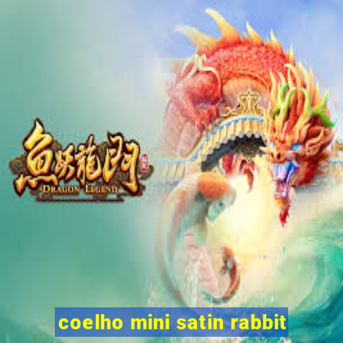 coelho mini satin rabbit